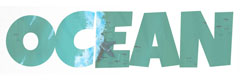 Blog Post 1